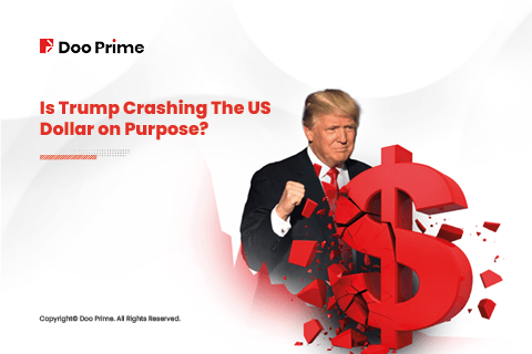 Trump US Dollar cover