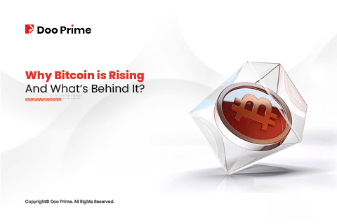 why bitcoin is rising cover